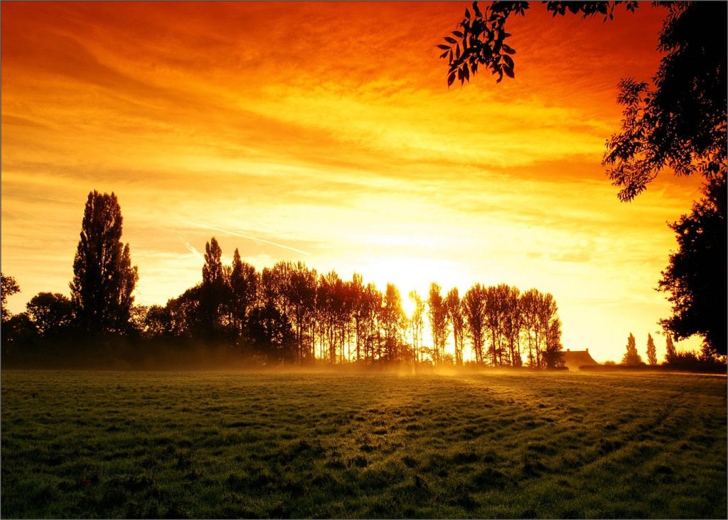 La Fe en la PALABRA DE DIOS