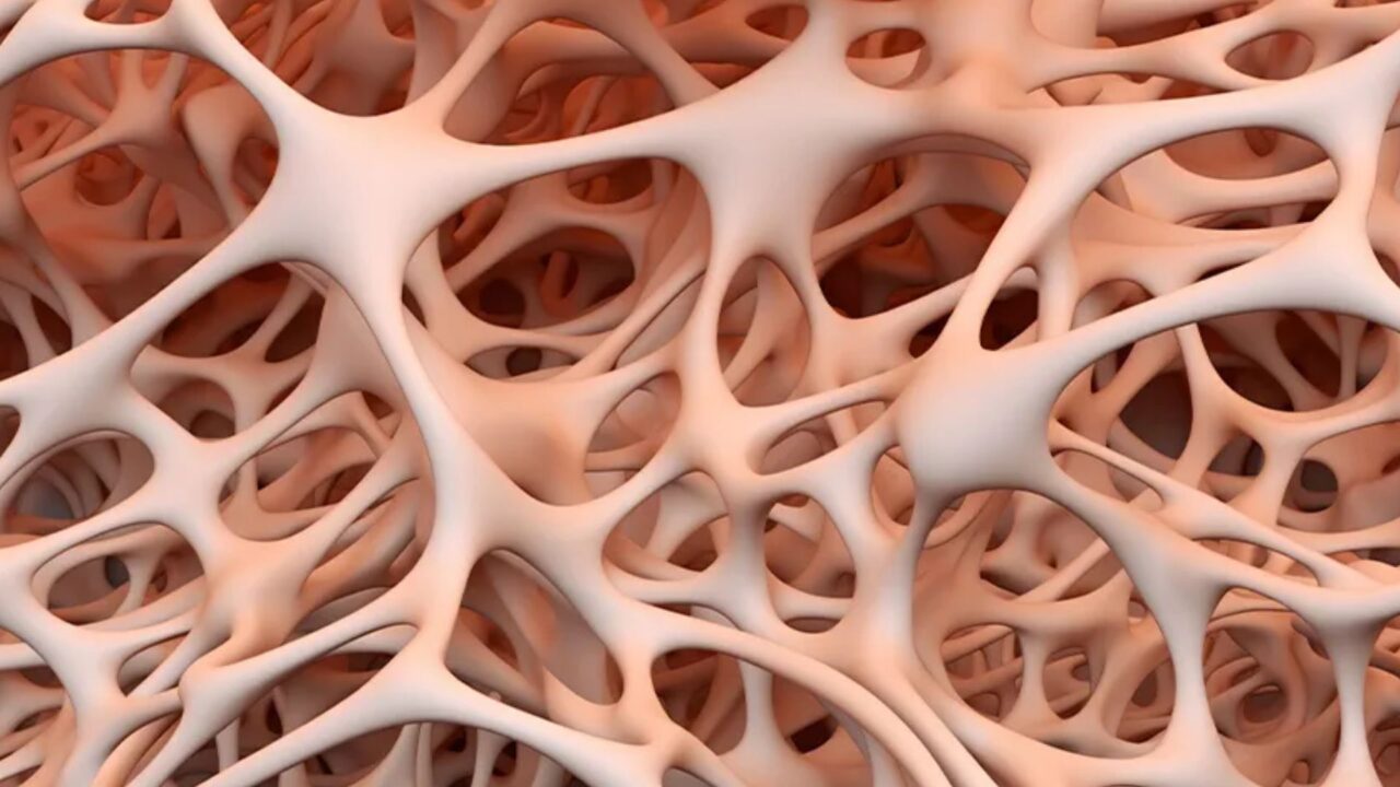 Enfermedades de la médula ósea