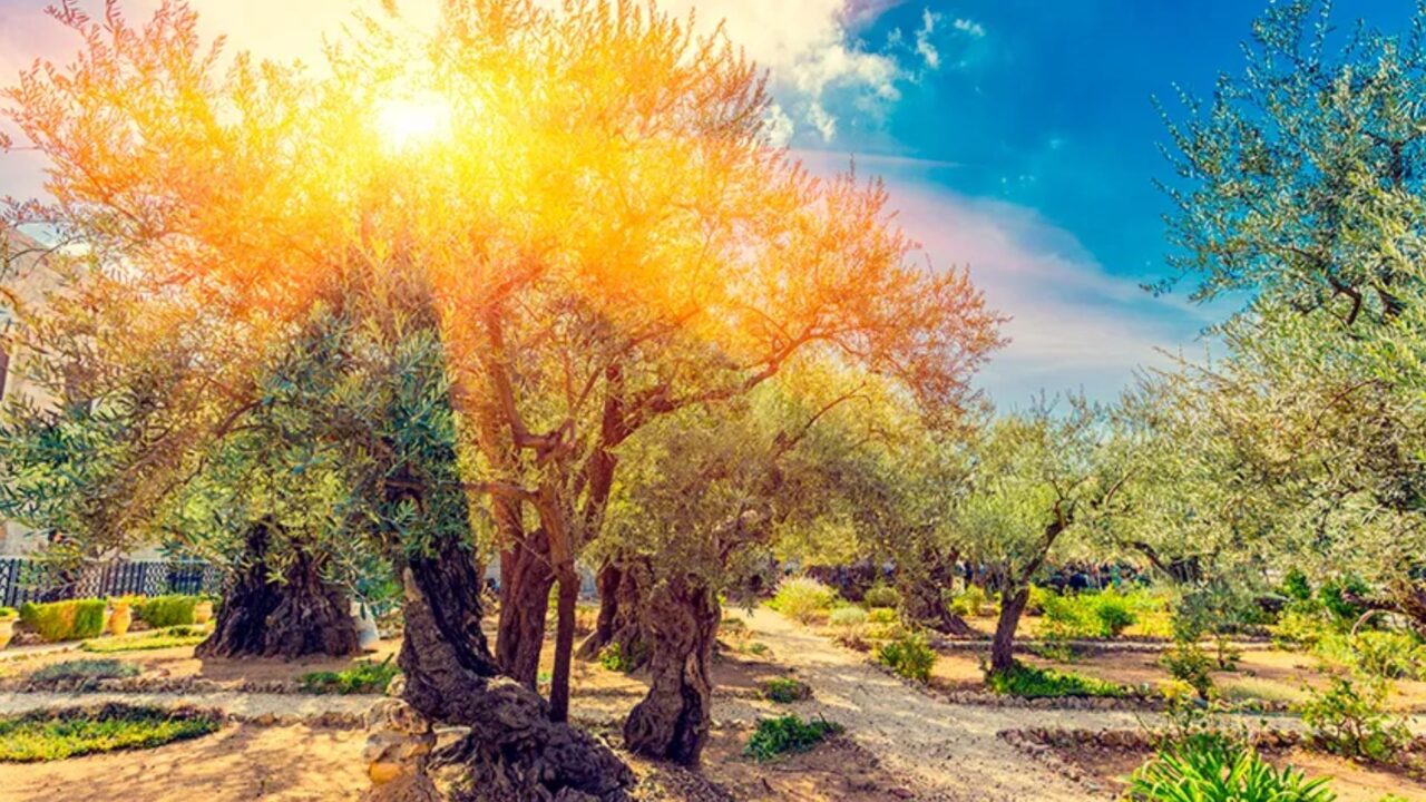 Hoguera Santa en el Getsemaní por el bautismo con el Espíritu Santo